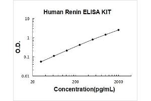 Renin (REN) ELISA Kit