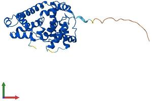 Protein Structure (PS) image for Cyclin C (CCNC) (AA 1-283) protein (His tag) (ABIN7553208)