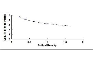 Typical standard curve (IgG1 ELISA 试剂盒)