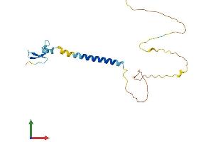 Protein Structure (PS) image for Tumor Necrosis Factor Receptor Superfamily, Member 17 (TNFRSF17) (AA 1-185) protein (His tag) (ABIN7562609)