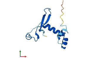 Protein Structure (PS) image for Canopy 1 Homolog (CNPY1) (AA 1-94) protein (His tag) (ABIN7557397)