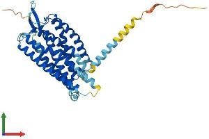Protein Structure (PS) image for Platelet-Activating Factor Receptor (PTAFR) (AA 1-341) protein (His tag) (ABIN7557753)