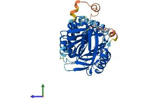Protein Structure (PS) image for serpin Peptidase Inhibitor, Clade B (Ovalbumin), Member 12 (SERPINB12) (AA 1-405) protein (His tag) (ABIN7546156)