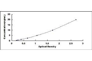 Typical standard curve (COL12A1 ELISA 试剂盒)