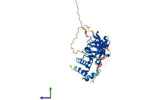 Protein Structure (PS) image for GIPC PDZ Domain Containing Family, Member 1 (GIPC1) (AA 1-333) protein (His tag) (ABIN7556344)