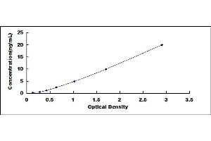 Typical standard curve (PRKDC ELISA 试剂盒)