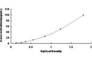 Typical standard curve (CPN2 ELISA 试剂盒)