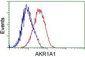 Image no. 4 for anti-Aldo-Keto Reductase Family 1, Member A1 (Aldehyde Reductase) (AKR1A1) antibody (ABIN1496541) (AKR1A1 抗体)