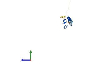 Protein Structure (PS) image for Transcription Factor MafG (Mafg) (AA 1-162) protein (His tag) (ABIN7549249)
