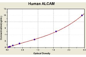 Diagramm of the ELISA kit to detect Human ALCAMwith the optical density on the x-axis and the concentration on the y-axis. (CD166 ELISA 试剂盒)