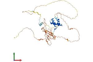 Protein Structure (PS) image for Calcium Binding tyrosine-(Y)-phosphorylation Regulated (CABYR) (AA 1-453) protein (His tag) (ABIN7560970)