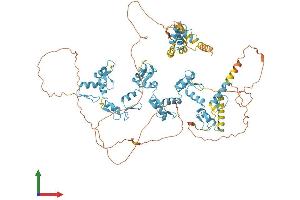 Protein Structure (PS) image for Zinc Finger and BTB Domain Containing 17 (ZBTB17) (AA 1-803) protein (His tag) (ABIN7556107)
