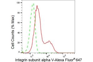 Flow cytometric analysis of Integrin subunit alpha V expression in HeLa cells using Integrin subunit alpha V antibody (ABIN7800944), 1:2,000).