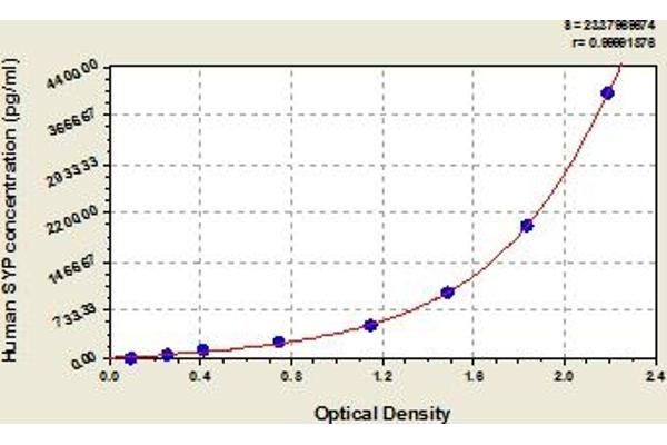 Synaptophysin ELISA 试剂盒