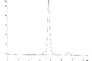 LI Cadherin (AA 26-786) protein (His tag)