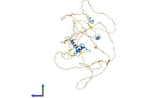 Protein Structure (PS) image for Chromosome 1 Open Reading Frame 116 (c1orf116) (AA 1-601) protein (His tag) (ABIN7545888)