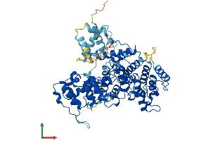Protein Structure (PS) image for Plastin 3 (PLS3) (AA 1-630) protein (His tag) (ABIN7560333)
