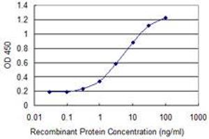 Detection limit for recombinant GST tagged CTNNB1 is 0. (CTNNB1 抗体  (AA 682-781))