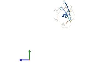 Protein Structure (PS) image for Sperm Associated Antigen 5 (SPAG5) (AA 1-1193) protein (His tag) (ABIN7555563)