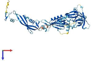 NMD3 Protein (AA 1-503) (His tag)