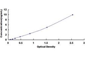 Typical standard curve (LGI3 ELISA 试剂盒)