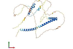Protein Structure (PS) image for Hexamethylene Bis-Acetamide Inducible 1 (HEXIM1) (AA 1-359) protein (His tag) (ABIN7548253)