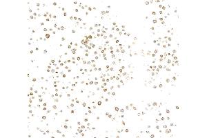 Immunocytochemistry (ICC) image for anti-Metadherin (MTDH) (AA 475-525) antibody (ABIN7795651) (Recombinant MTDH 抗体  (AA 475-525))