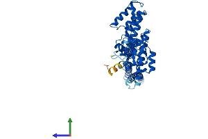 Protein Structure (PS) image for Macrophage erythroblast Attacher (MAEA) (AA 1-396) protein (His tag) (ABIN7549269)