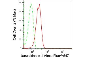 Flow cytometric analysis of Janus kinase 1 expression in HepG2 cells using Janus kinase 1 antibody (ABIN7799140), 1:2,000).