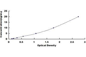 Typical standard curve (TBC1D13 ELISA 试剂盒)