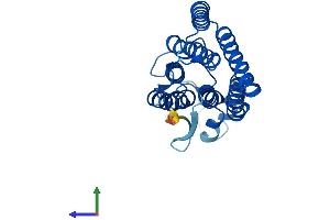AlphaFold protein structure predicition of Mouse Recombinant Acer3 Protein, UniprotID Q9D099