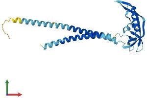 Protein Structure (PS) image for Potassium Large Conductance Calcium-Activated Channel, Subfamily M, beta Member 2 (KCNMB2) (AA 1-235) protein (His tag) (ABIN7548687)