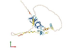 AlphaFold protein structure predicition of Human Recombinant STAC3 Protein, UniprotID Q96MF2