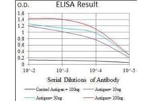 Black line: Control Antigen (100 ng), Purple line: Antigen(10 ng), Blue line: Antigen (50 ng), Red line: Antigen (100 ng), (PCNA 抗体  (AA 53-196))