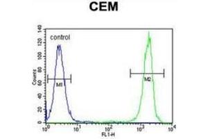 Flow Cytometry (FACS) image for anti-Nudix (Nucleoside Diphosphate Linked Moiety X)-Type Motif 22 (NUDT22) (AA 227-257), (C-Term) antibody (ABIN953783)
