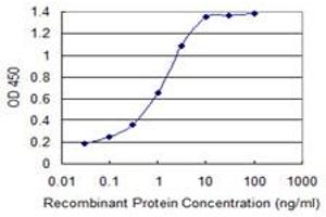 Detection limit for recombinant GST tagged S100A11 is 0. (S100A11 抗体  (AA 10-87))