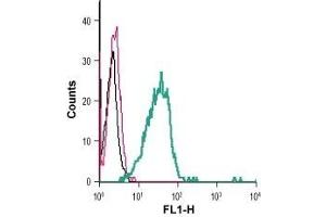 Cell surface detection of TREM2 in live intact mouse BV-2 microglia cells: (black line) Cells. (TREM2 抗体  (Extracellular) (FITC))