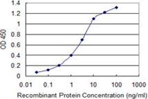 Detection limit for recombinant GST tagged KIT is 0. (KIT 抗体  (AA 41-140))