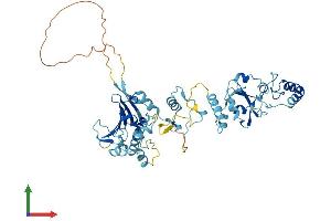 AlphaFold protein structure predicition of Human Recombinant HSP90AB4P Protein, UniprotID Q58FF6 (HSP90AB4P Protein (AA 1-505) (His tag))