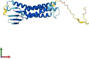 Protein Structure (PS) image for Claudin 5 (CLDN5) (AA 1-218) protein (His tag) (ABIN7562450)