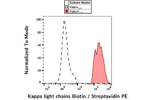 Surface staining of kappa light chains in human peripheral blood cells with anti-kappa light chains (TB28-2) biotin, streptavidin-PE. (kappa Light Chain 抗体  (Biotin))