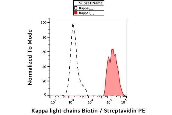 kappa Light Chain 抗体  (Biotin)