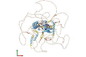 Protein Structure (PS) image for Period Circadian Protein 2 (PER2) (AA 1-1255) protein (His tag) (ABIN7554921)