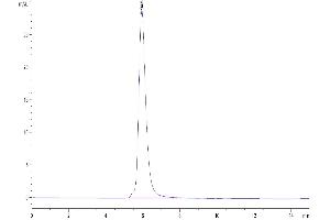 Size-exclusion chromatography-High Pressure Liquid Chromatography (SEC-HPLC) image for Colony Stimulating Factor 1 Receptor (CSF1R) (AA 20-512) protein (His-Avi Tag,Biotin) (ABIN7274428)