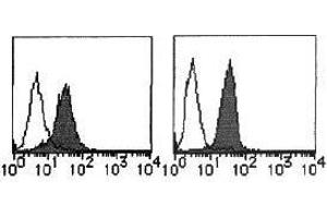 Flow Cytometry (FACS) image for anti-MHC Class I Polypeptide-Related Sequence A (MICA) antibody (ABIN1108244) (MICA 抗体)