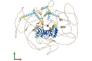 Protein Structure (PS) image for Period Homolog 3 (PER3) (AA 1-1201) protein (His tag) (ABIN7554935)