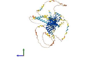 Protein Structure (PS) image for Amyloid beta (A4) Precursor Protein-Binding, Family B, Member 1 Interacting Protein (APBB1IP) (AA 1-666) protein (His tag) (ABIN7551787)
