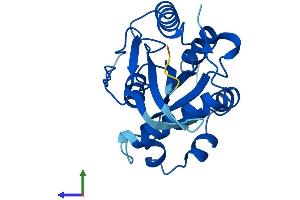AlphaFold protein structure predicition of Human Recombinant GIMD1 Protein, UniprotID P0DJR0