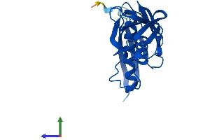 Protein Structure (PS) image for Ribosomal Protein L9 (RPL9) (AA 1-192) protein (His tag) (ABIN7563378)