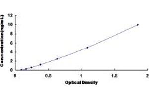 Typical standard curve (ATP1B1 ELISA 试剂盒)